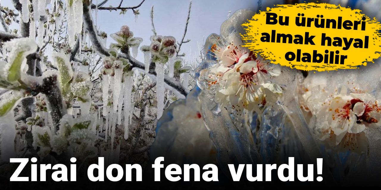 zirai-don-fena-vurdu-bu-urunleri-almak-hayal-olabilir-CNPwm4wz.jpg