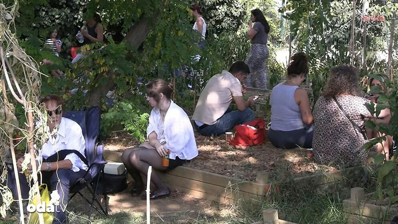 caferagada son yesil alan tepkisi buyuyor AIdVs8n5