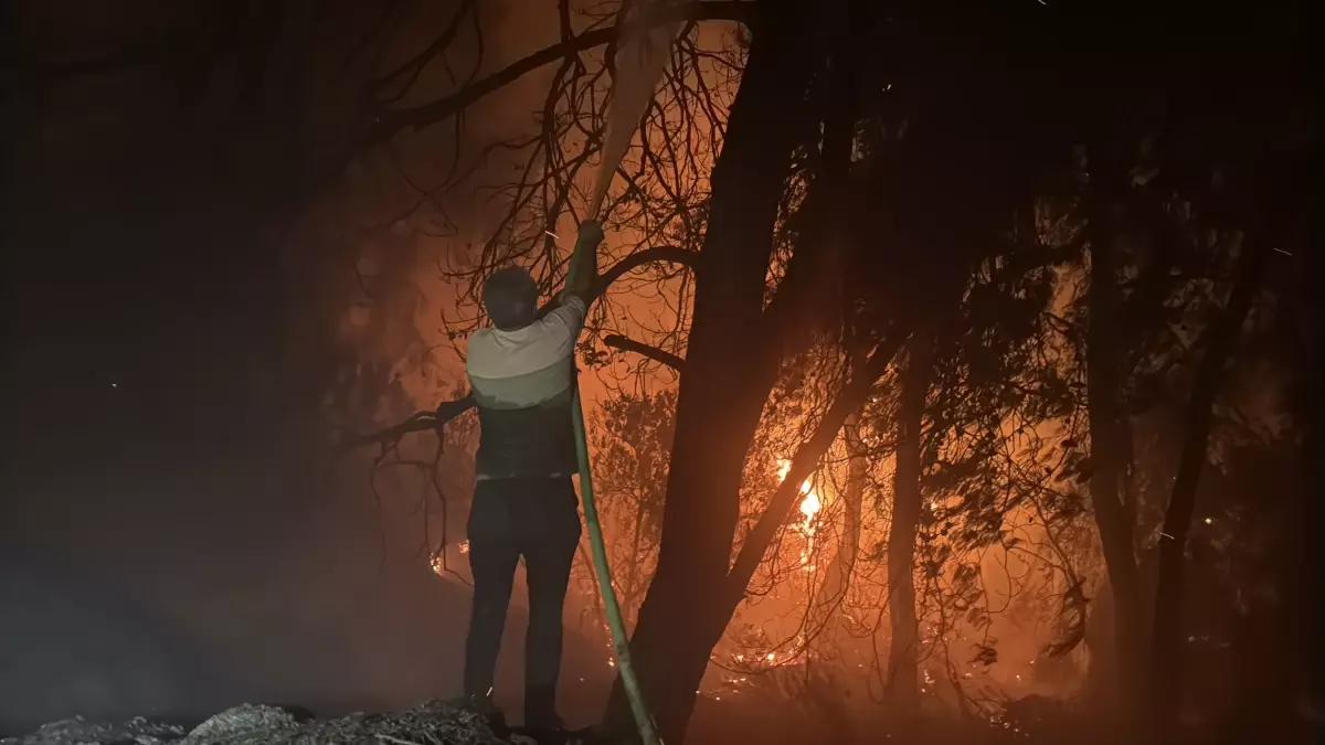 milasta orman yangini havadan goruntulendi SgZn3C4F