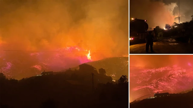 orman yangininda alevlere mahalleye sicradi evler ve seralar alevlerin arasinda kaldi yDtYOrpC