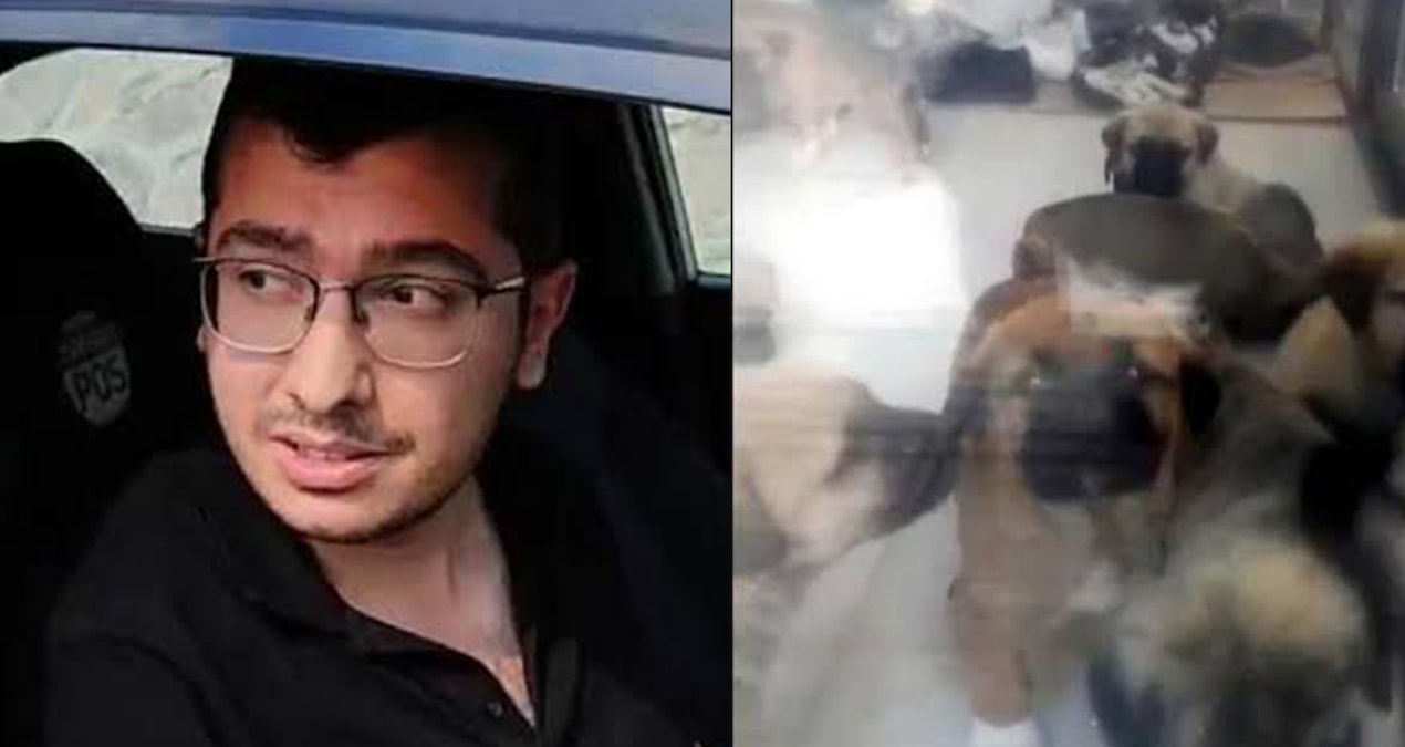 sahiplendigi kopekleri olduren doktor tahliyesiniistedi 5kLgX1ee