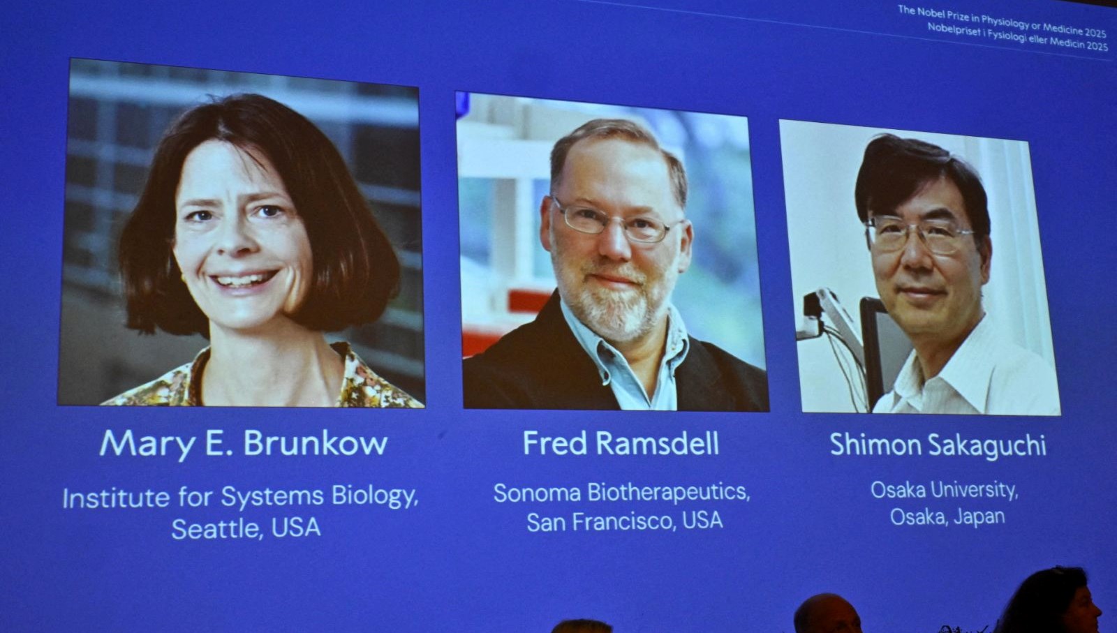 nobeli kazandi kayiplara karisti kimse ona ulasamiyor E3IiJICt