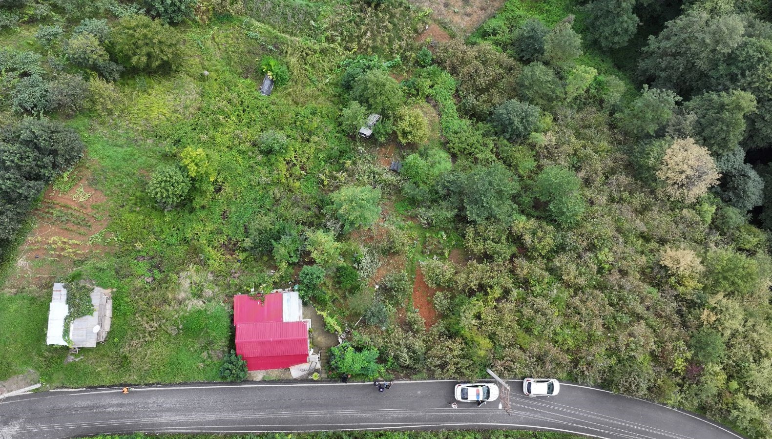 otomobil findik bahcesine daldi 8cIYHM5U