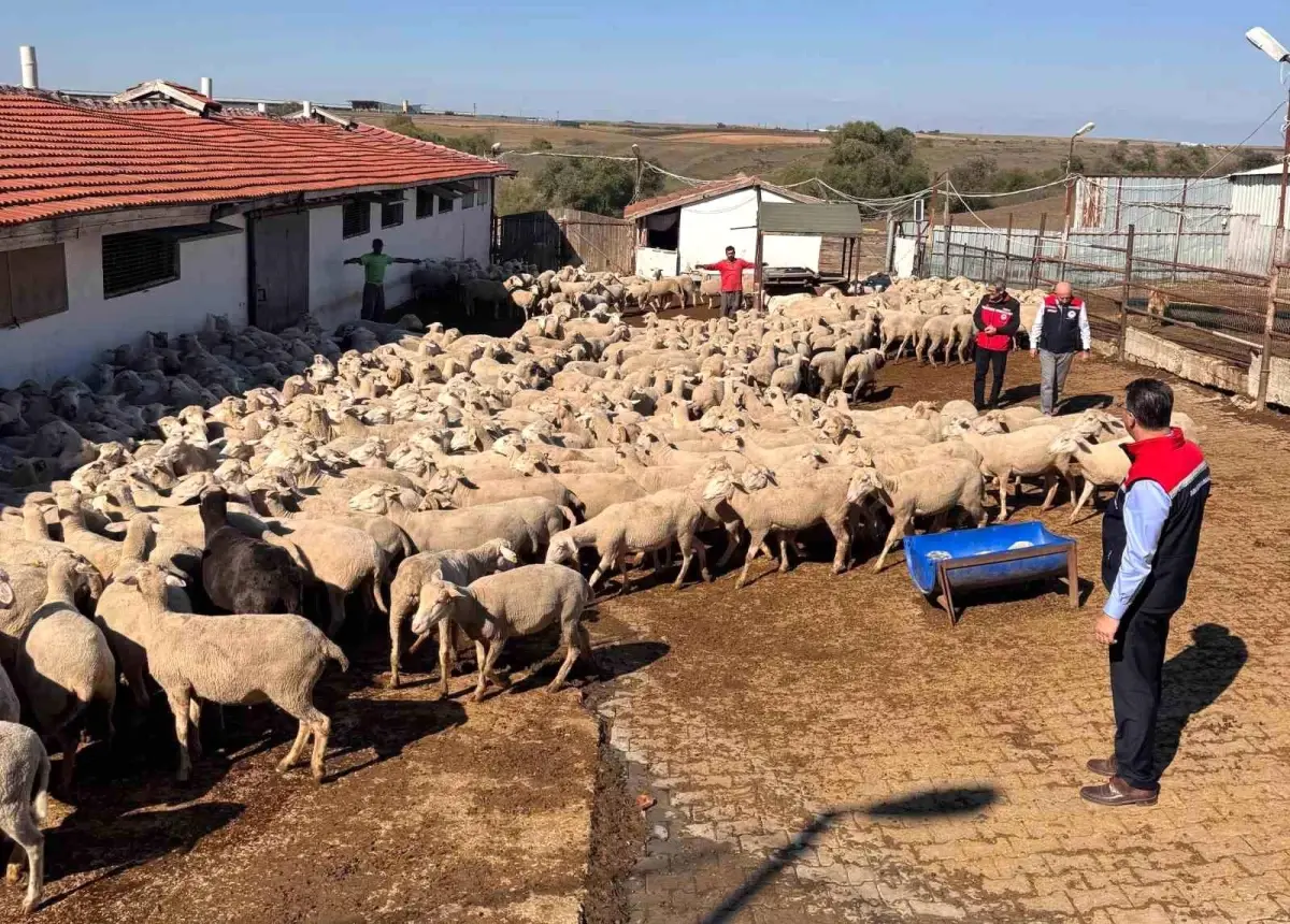 tekirdag tarim ve orman il muduru ciftcileri ziyaret etti mz9BTEMH.jpg