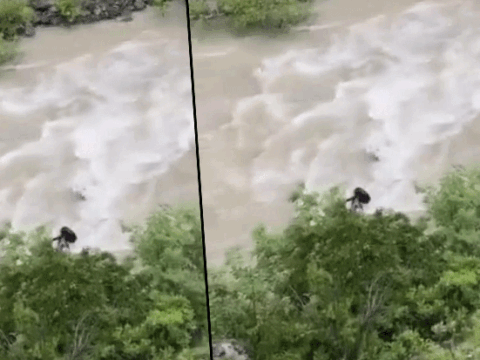 Otomobil Çoruh Nehri’ne düştü: Baba ile oğlu aranıyor